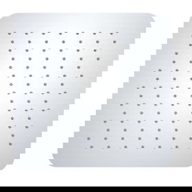 Hoofddouches RVS-kleurig