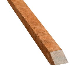 Schuttingpalen Azobe