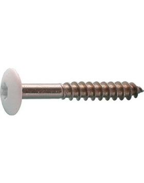Schroef 4,8x38 Torx op kleur t.b.v. HPL Plaat creme 140 per 100 st.