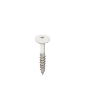 Torx schroef 32mm rvs V2A 100 stuks Wit