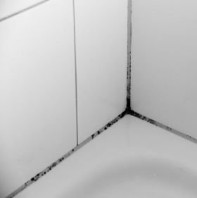 Schimmel in badkamer verwijderen en voorkomen