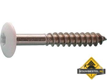 Schroef 4,8x38 Torx op kleur t.b.v. HPL Plaat wit 130 per 100 st.