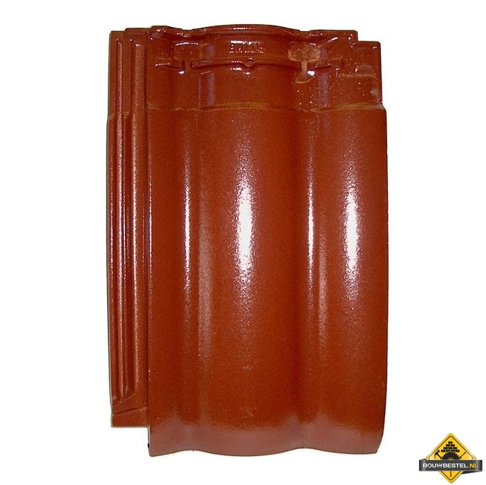Panhaken voor Erlus Forma Dakpan (Haak / Panhaak / Dakpan Haken) – 250 stuks