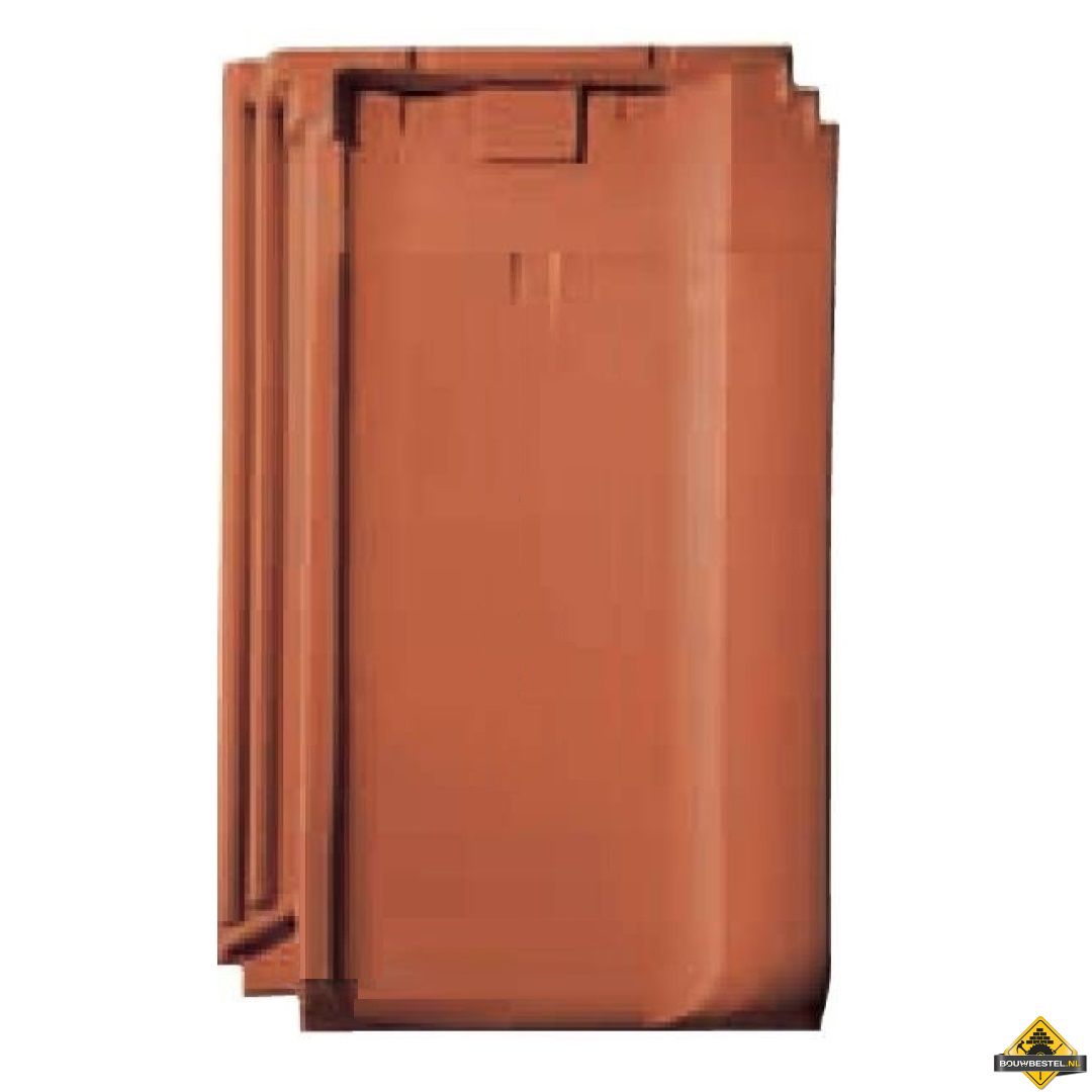 Panhaken voor Lander R 100 Dakpan (Haak / Panhaak / Dakpan Haken) – 250 stuks