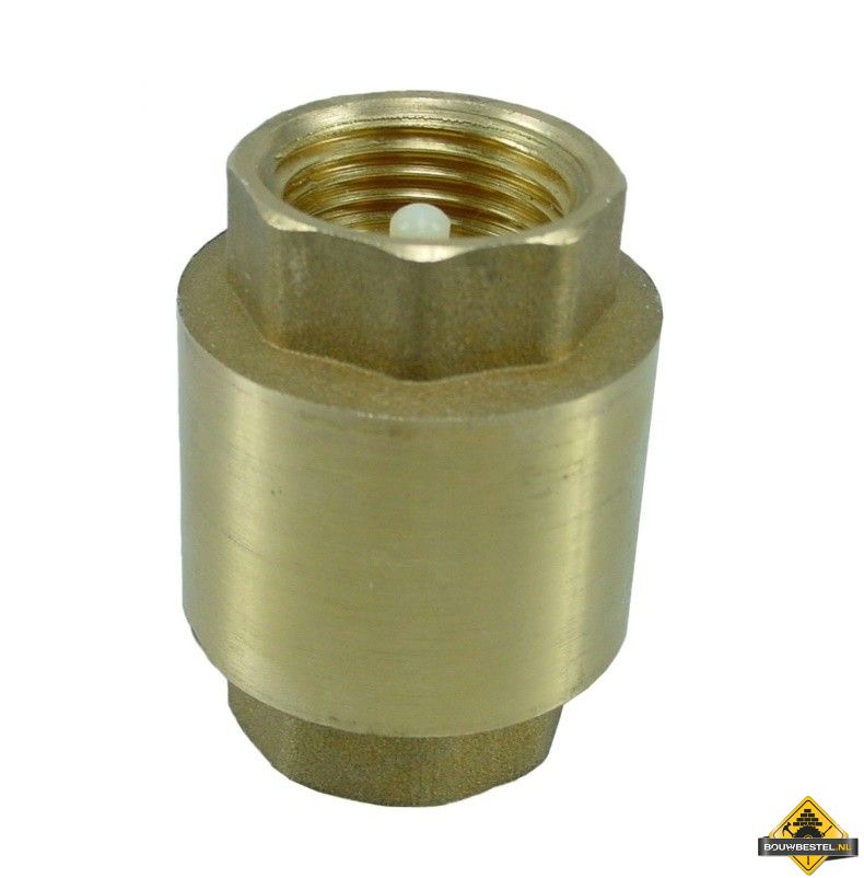 3/4 inch Terugslagklep met Veer