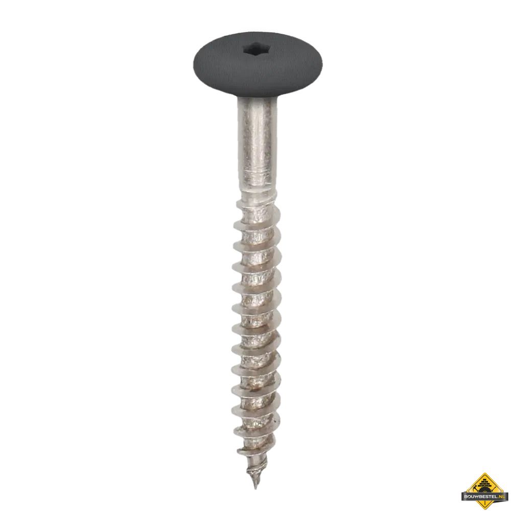 Torx schroef 45mm rvs V4A 100 stuks
