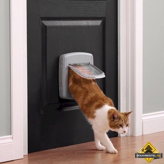 Onenigheid offset bouwer Kattenluik in deur plaatsen ✓ Klusadvies ✓ Bouwbestel