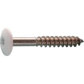 Schroef 4,8x38 Torx op kleur t.b.v. HPL Plaat wit 130 per 100 st.