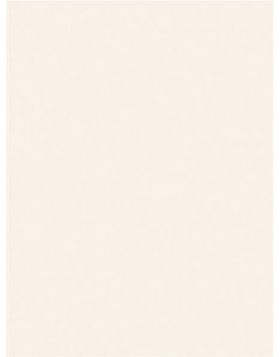Mosa Holland 2040 0495L 15x20 cm, kleur wit mat