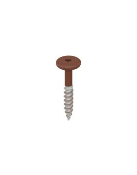 Torx schroef 32mm rvs V2A 100 stuks Golden oak