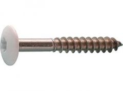 Schroef 4,8x38 Torx op kleur t.b.v. HPL Plaat wit 130 per 100 st.