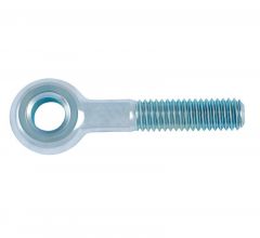 RVS Oogbout M10 120mm / Knevelbout-Din444-A2-B-M10x120