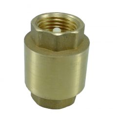 3/4 inch Terugslagklep met Veer