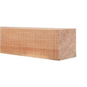 Douglas hout vers gezaagd 100 x 100 mm 300 cm PEFC